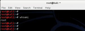 How to add remove user - Standard usernon-root - in Kali Linux - blackMORE Ops -12