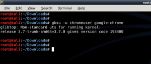 How to Install Google Chrome in Kali Linux? – Part 3 – Running Chrome - 2 - blackMORE Ops