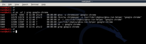How to Install Google Chrome in Kali Linux? – Part 3 – Running Chrome - 4 - blackMORE Ops