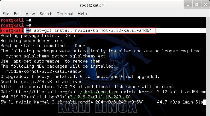 Install NVIDIA Kernel - 2 - Install proprietary NVIDIA driver on Kali Linux - blackMORE Ops