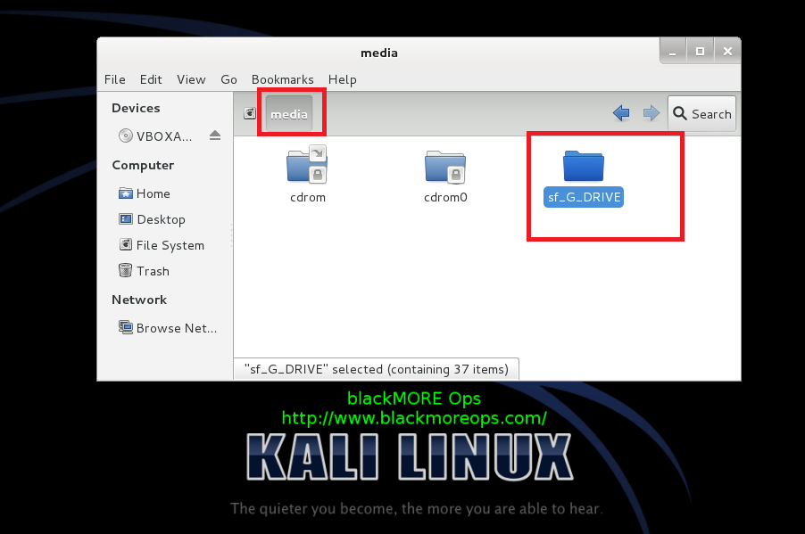 Correct way to install Virtualbox Guest Additions packages on Kali Linux and create shared folder - blackMORE Ops - 3