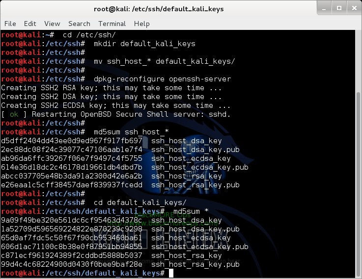 Kali Linux remote SSH - How to configure openSSH server - blackMORE Ops -2