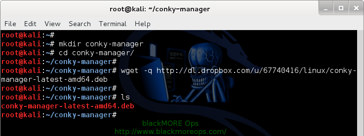 Download Conky-Manager using Wget