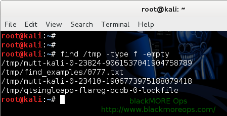 Practical Examples of Linux Find Command, Find Command Examples Find all empty Files and directory - 5 - blackMORE Ops