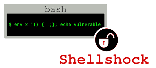 Shellshock Vulnerability Exploitation and Mitigation: A Demonstration