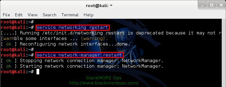 Setup VPN on Kali Linux and Ubuntu - blackMORE Ops - 1