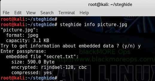 Viewing Info of embedded data using steghide in Kali Linux - blackMORE Ops - 3