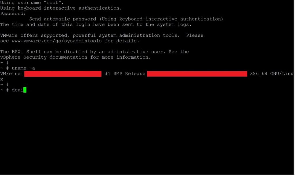 Accessing ESXi console screen from an SSH session - 1
