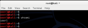 How to add remove user - Standard usernon-root - in Kali Linux - blackMORE Ops -9