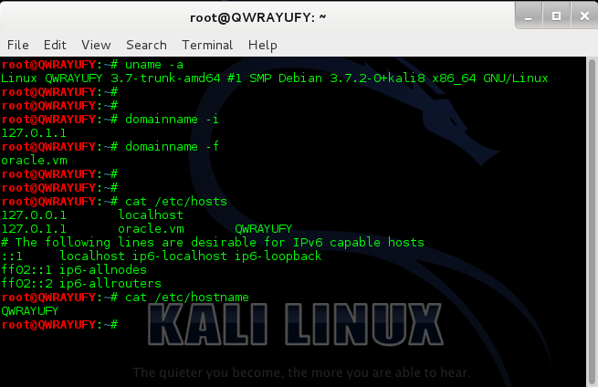 Root Terminal. Chroot примеры Linux. Uname linux