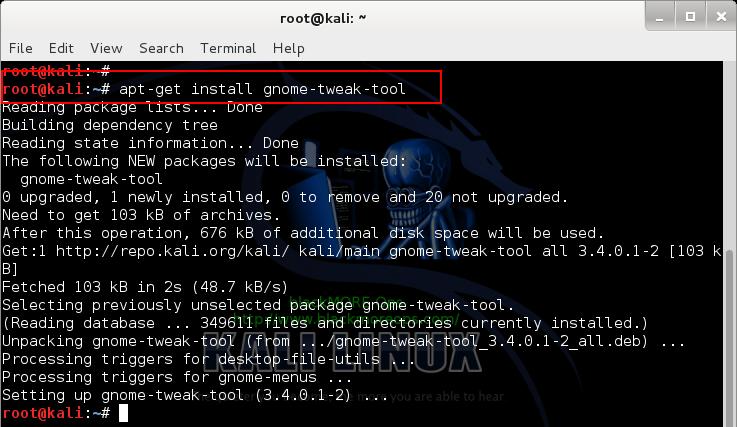 Установка gnome tweak tool. Install Gnome to kali. Gnome-tweak kali. #Root Кали линукс. Kali Linux old Themes.