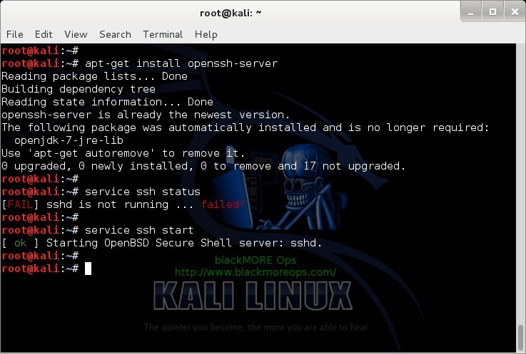 #Howto configure #openSSH server on #KaliLinux
