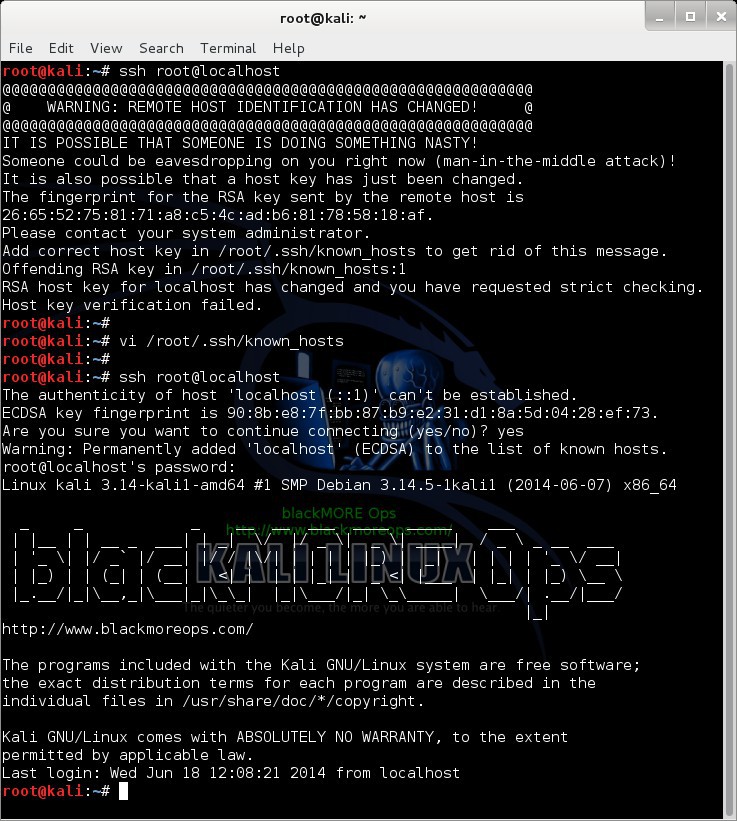 SSH root Terminal. Терминал SSH В kali. SSH localhost@root. .SSH/known_hosts. Исправить host