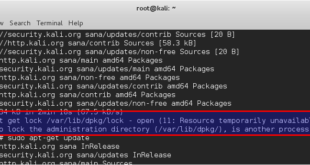 Fixing E Could not get lock var lib dpkg lock - open 11 Resource temporarily unavailable error in Kali Linux - blackMORE Ops