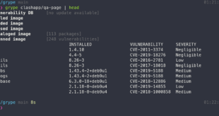 Vulnerability Scanner For Container Images & Filesystems