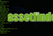 Find Related Domains and Subdomains with assetfinder