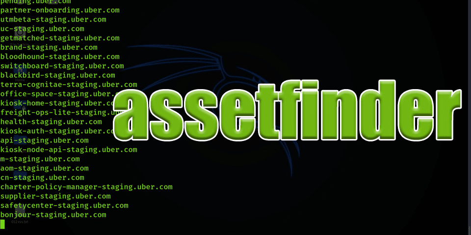 Find Related Domains and Subdomains with assetfinder