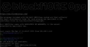 Kali Linux Without GUI SSH and Remote Desktop - 3