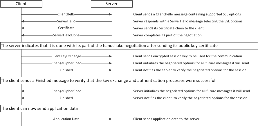 SSL termination at reverse proxy level, showing encrypted client connections and internal HTTP communication