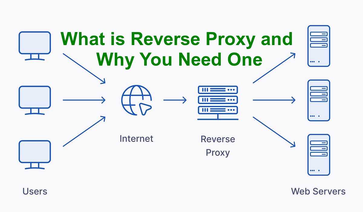 Basic reverse proxy architecture demonstrating request flow from clients through the proxy to backend services